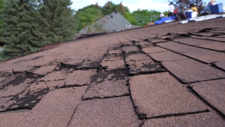 Best Asphalt Shingles Roofing  in Molalla, OR