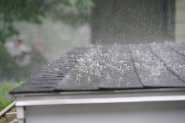 Best Roof Inspection  in Molalla, OR