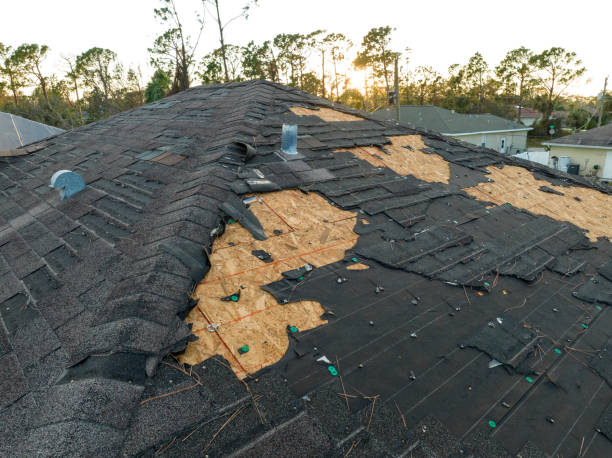 Best Emergency Roof Repair Services  in Molalla, OR